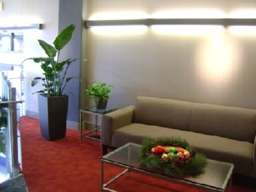 Lobby Holiday Decorations
