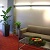 Lobby Holiday Decorations